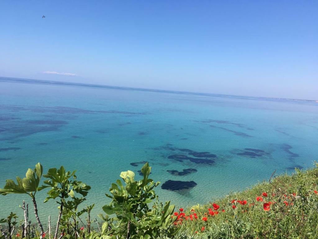 Magnificent Seascape Villa On A Secluded Beach Νέα Μουδανιά Εξωτερικό φωτογραφία